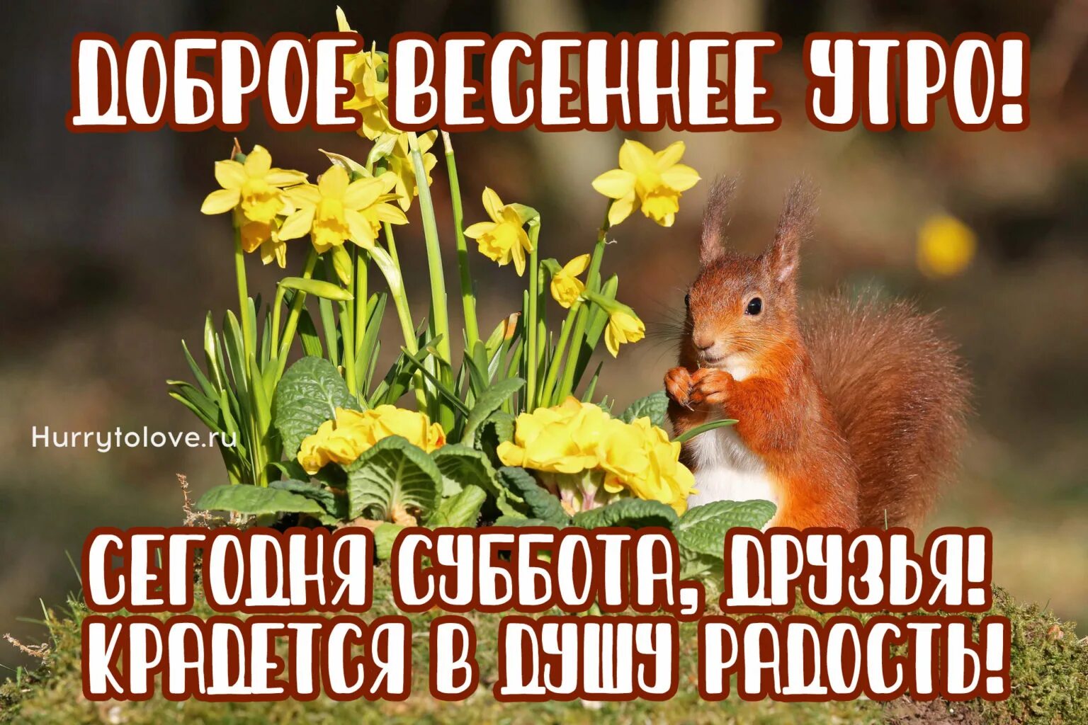 Субботним весенним утром и хорошего дня. Доброе Весеннее утро субботы. С добрым весенним утром субботы. С весенней субботой.