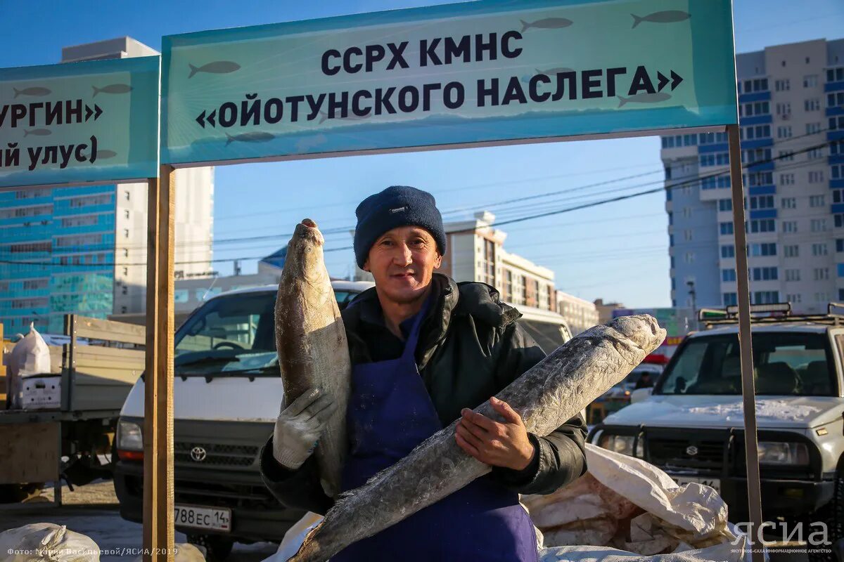 Якут рыба. Рыбы Якутии. Рыба в Якутске. Якут с рыбой. Самая вкусная рыба из Якутии.