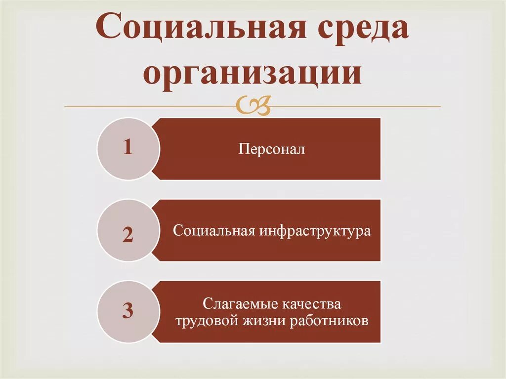 Уровни социального окружения. Социальная среда организации. Социальная среда компании. Структура социальной среды. Составляющие социальной среды.