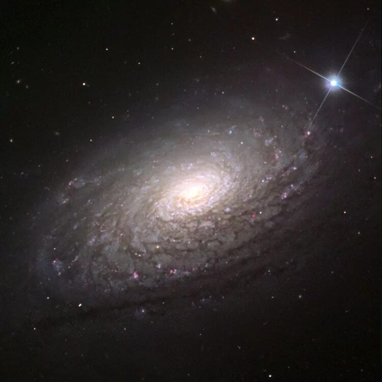 Галактика чёрный глаз (m64). Галактика NGC-5055. M49 Мессье. M 105 (Галактика). Галактика 64 сайт