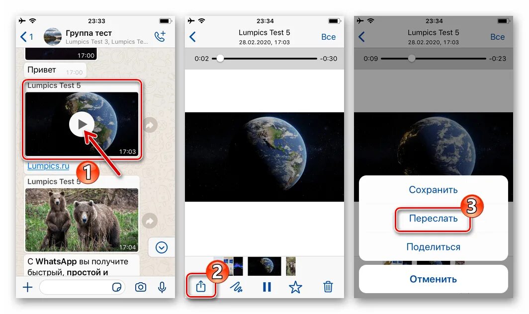 Как переслать сообщение в ватсап другому человеку. Сообщение в мессенджере. WHATSAPP программы мгновенного обмена сообщениями. Айфон ватсап много сообщений. Как переслать из мессенджера WHATSAPP.