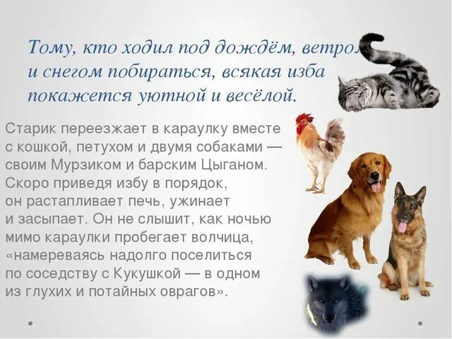 Бунин кукушка содержание. Кукушка рассказ бунина краткое содержание. краткий пересказ рассказа кукушка. рассказ кукушка бунин краткое содержание.