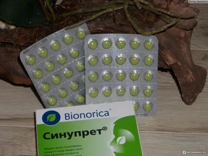 Синупрет таблетки отзывы при насморке