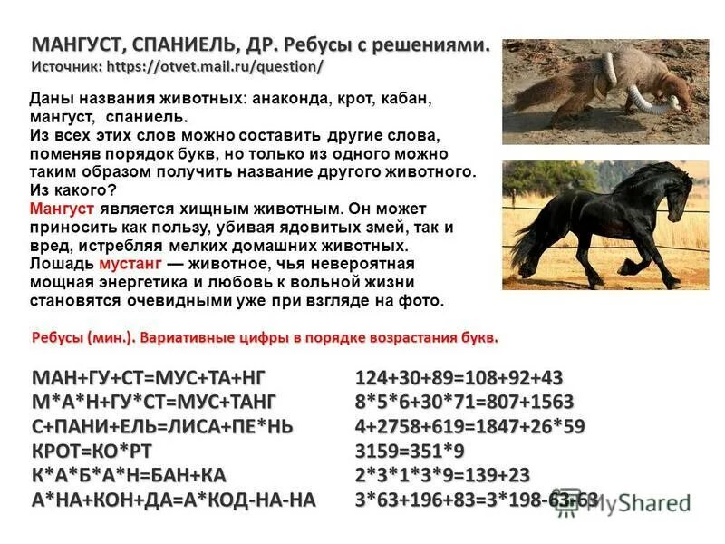 загадка про мангуста. мангус или мангуст рикки тикки. слова из букв. составить из букв мангуст. мангуст.