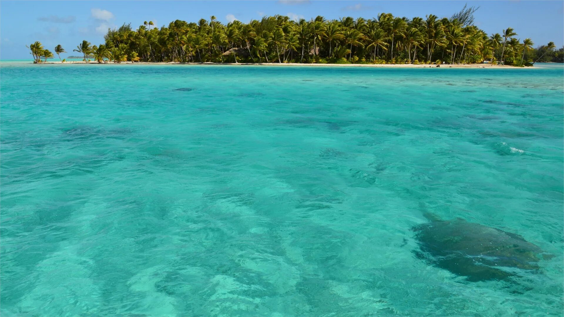 Океан. Прозрачное море. Бирюзовый берег. Парадиз остров карибского моря. Остров лагуна.