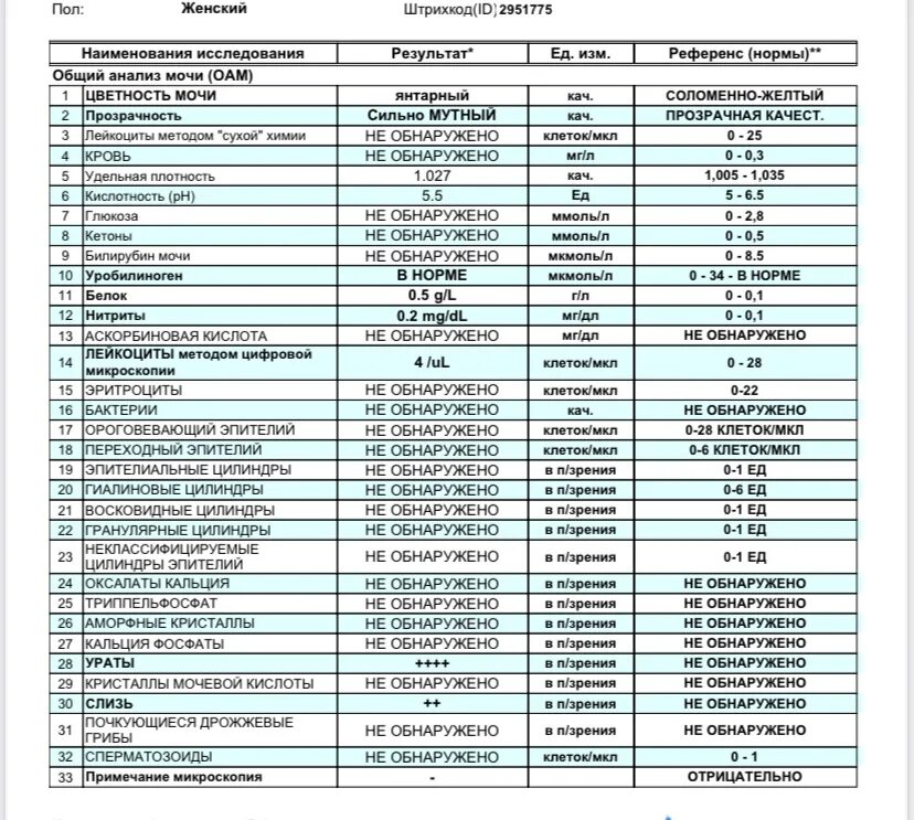 Белок 0.3 г/л. Белок в моче 0.1 г/л. Белок 0,1 г/л. Белок в моче при беременности.