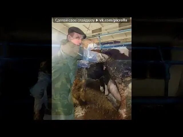 Поеду в колхоз гоп стоп