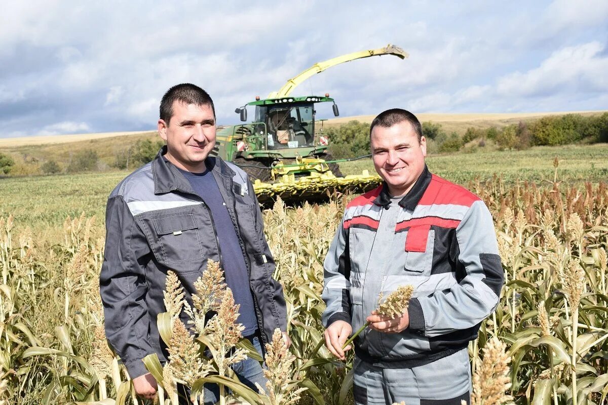 формула нахождения урожайности. хороший урожай. все числительные в русском языке. что такое урожайность в математике. пятое буквами.