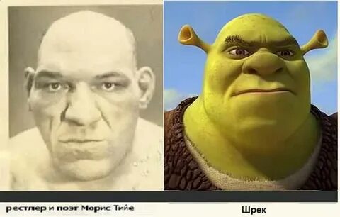 Шрек похожие
