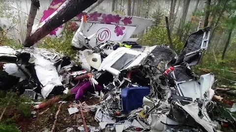 Самолет врезался в человека