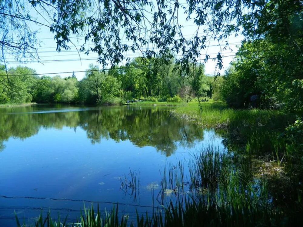 Большое микушкино самарская область пруд. Пруд сырейка самарская область платный пруд. Серное озеро сергиевский район. Самарские водоемы. Озеро в аглосе самара.