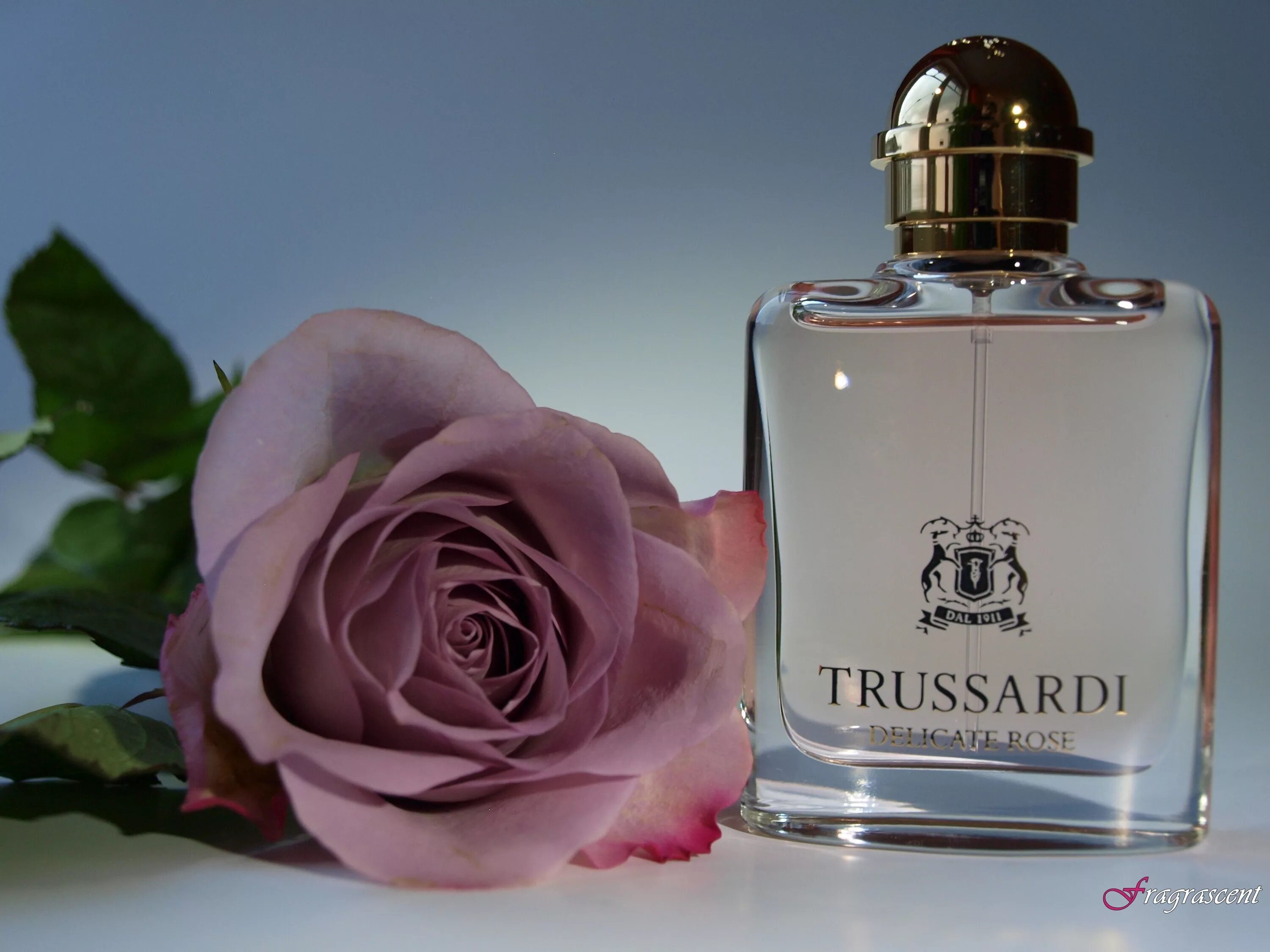 Труссарди Донна Деликат Роуз. Труссарди delicate Rose. Trussardi delicate Rose 30ml EDT. Духи розочка