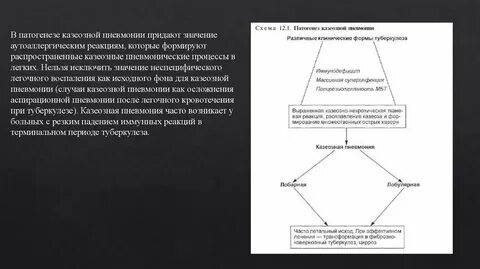 Пневмония схема