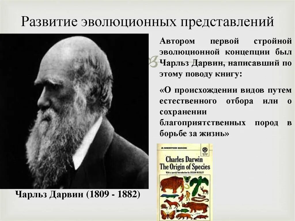 Эволюционные представления. Эволюционная концепция Автор суть. Развитие эволюционных представлений. Эволюция идеи развития