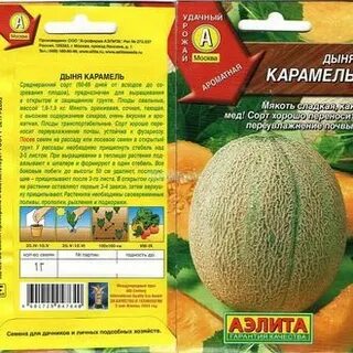 Дыня багира