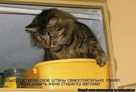 Теперь не мешай