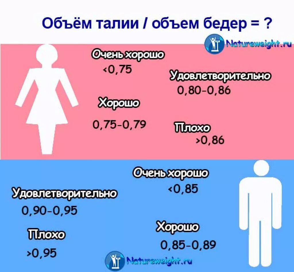 Нормальная окружность талии. Соотношение талии и бёдер. Соотношение окружности талии к окружности бедер. Соотношение объема талии и бедер. Отношение окружности талии к окружности бедер.