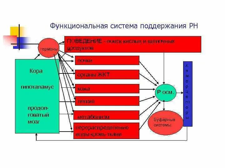 Функциональное общество