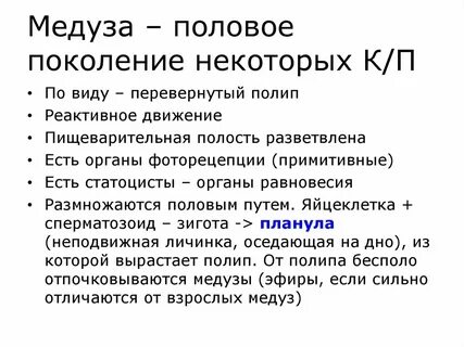 Из споры развивается половое поколение