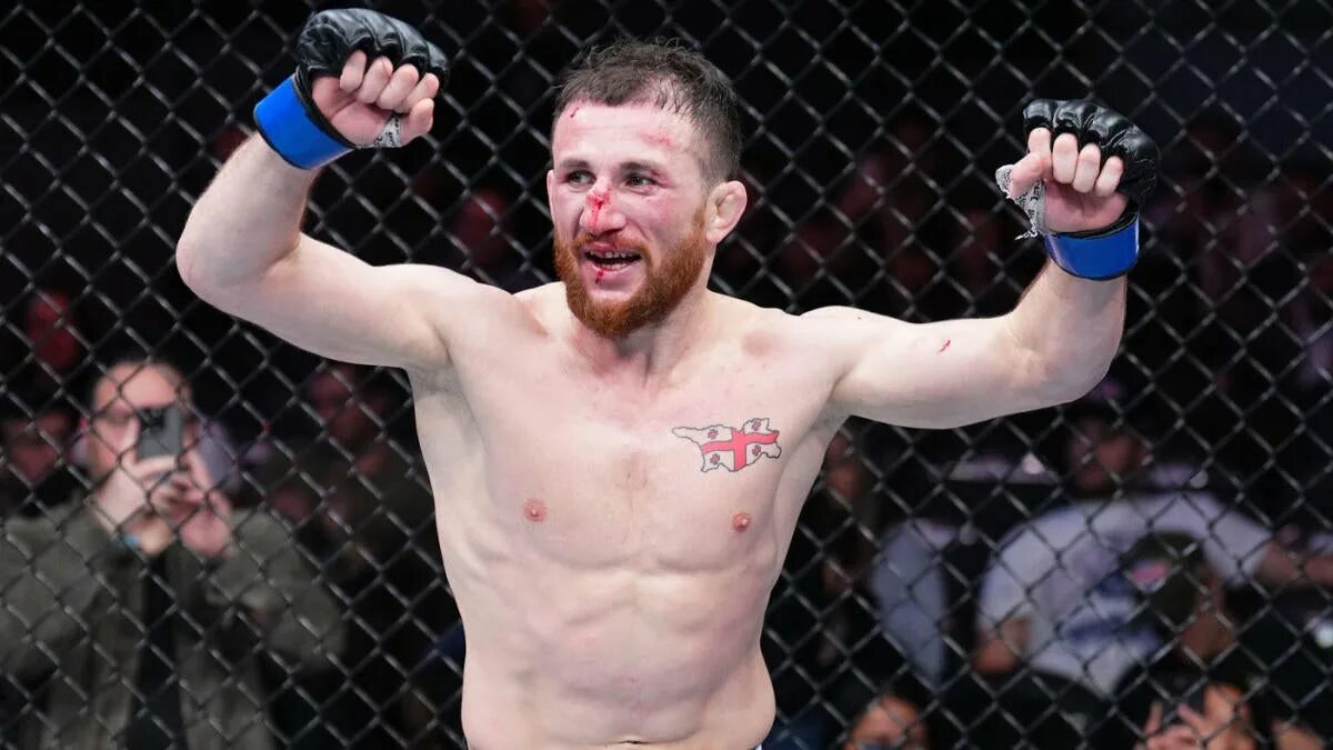 О мелли двалишвили кто победит. Двалишвили боец ufc.