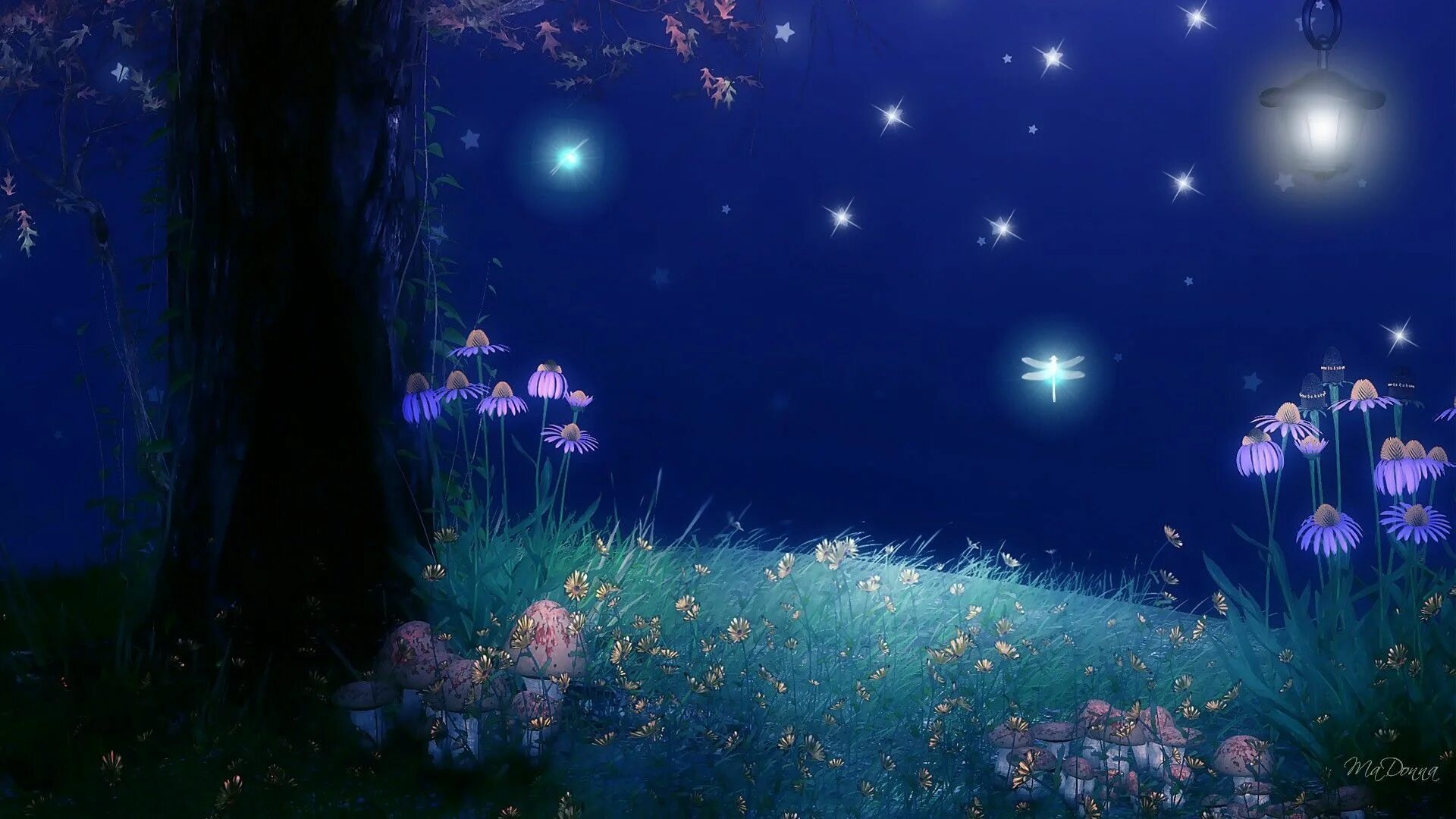 Созвездия над нами таинственно мерцают песня. Сказочная ночь. Волшебный лес со светлячками. Волшебная ночь. Ночной сказочный лес.
