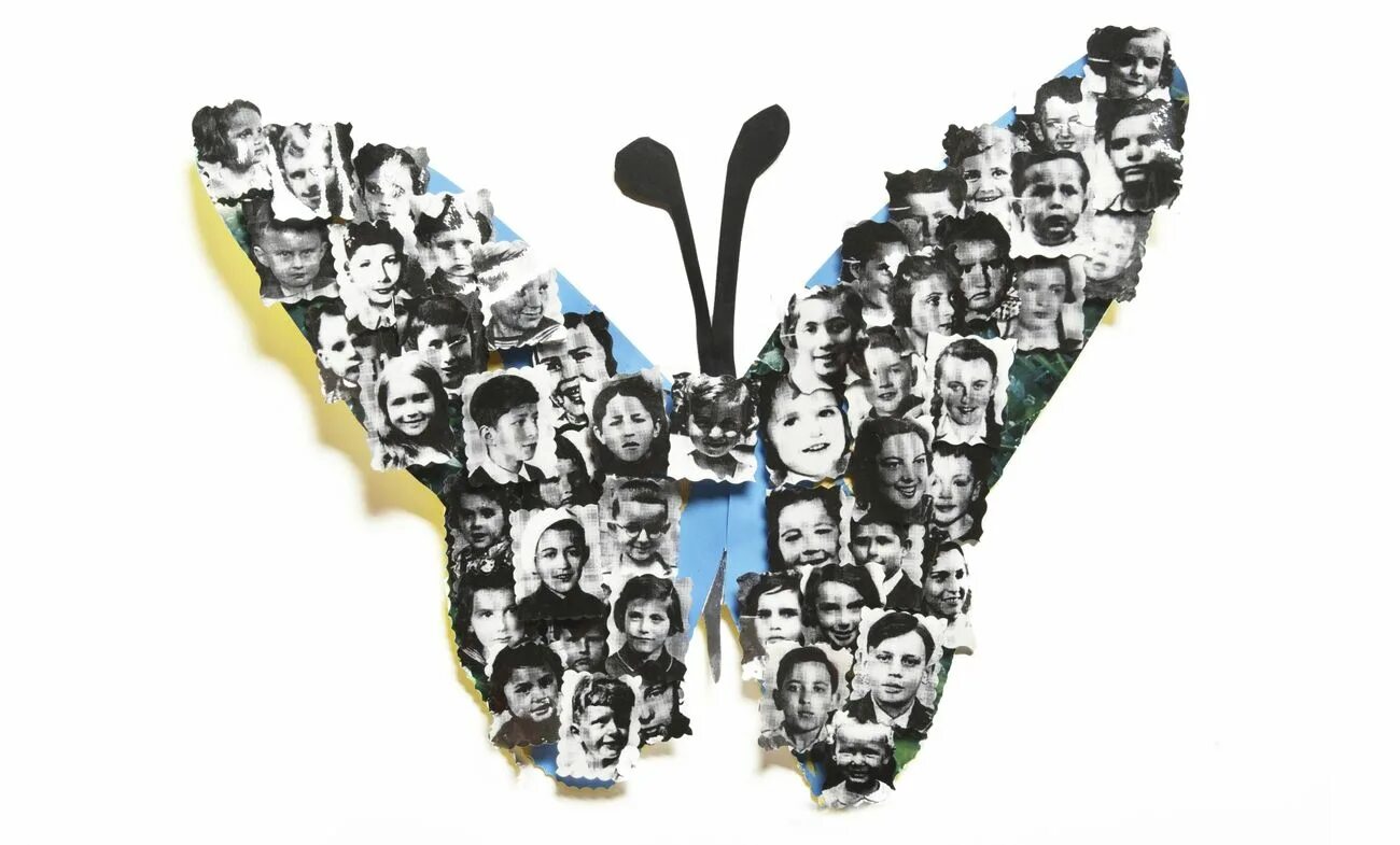 Бабочки памяти холокоста. Символ холокоста бабочка. Бабочки памяти холокоста. Символ холокоста бабочка. Бабочки памяти холокоста шаблон.