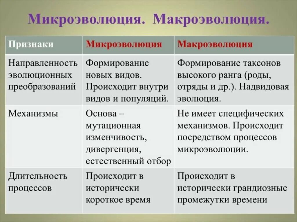 Результат микроэволюции появление. Микроэволюция. Микроэволюция и Макроэволюция. Понятие микроэволюция. Микроэволюция эволюционные изменения.