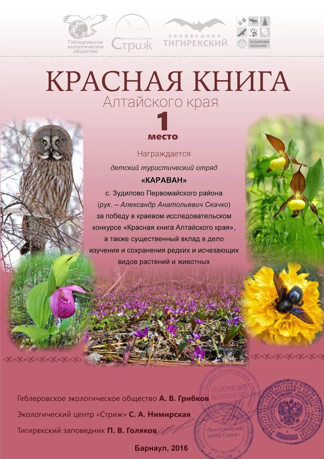 Растения внесенные в красную книгу алтайского края. Красная книга алтайского края. красная книга алтайского края книга. красная крига алтайского края. красная книга алтайского края животные и растения.
