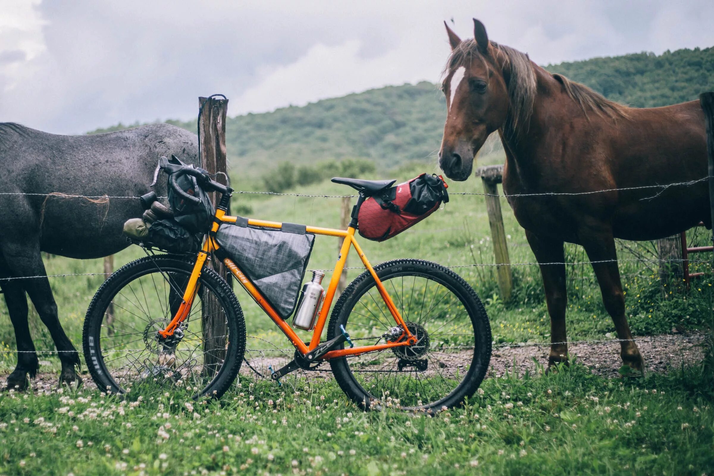 Cycling animals. All City Gorilla Monsoon. Конь на велосипеде. Велосипед Monsoon. Велосипед с лошадиной головой.