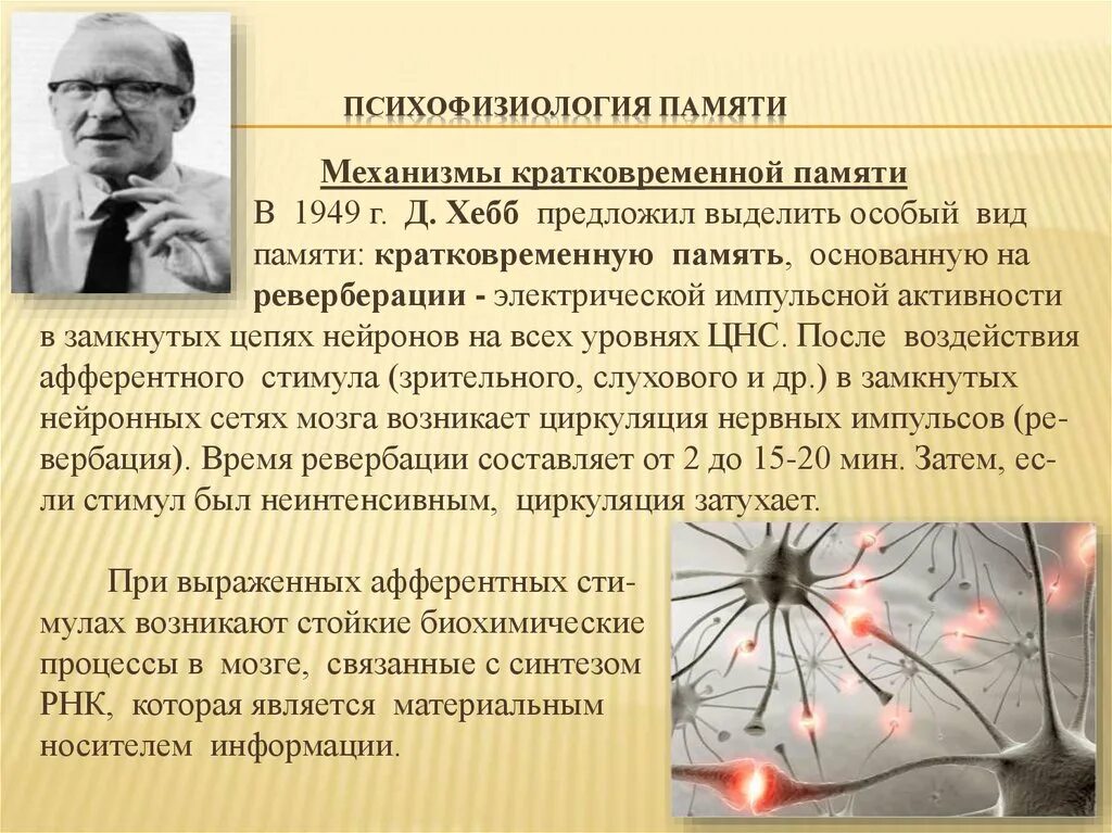 Память является функцией