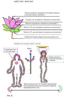 Тела тонкого плана