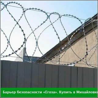 Егоза это