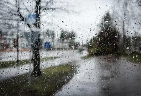 День пасмурный однако теплый