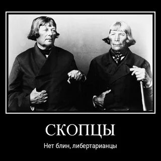 Собрат скопца