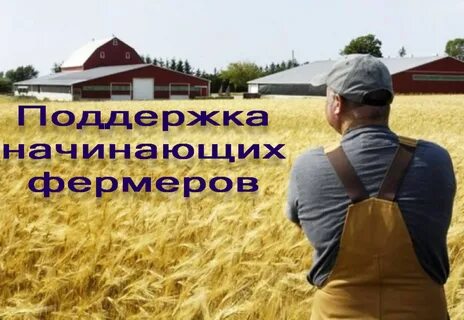 Кфх программы