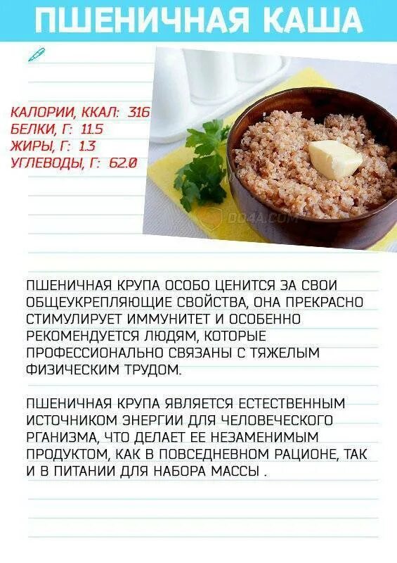 Как часто можно есть кашу. Каши для набора мышечной массы. Каши для набора веса. Каши для набирания массы. Лучшие крупы для набора мышечной массы.