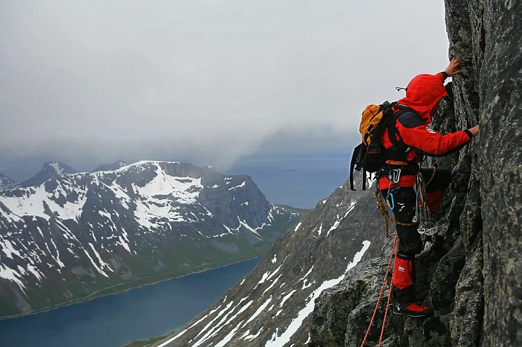 А также самую разнообразную