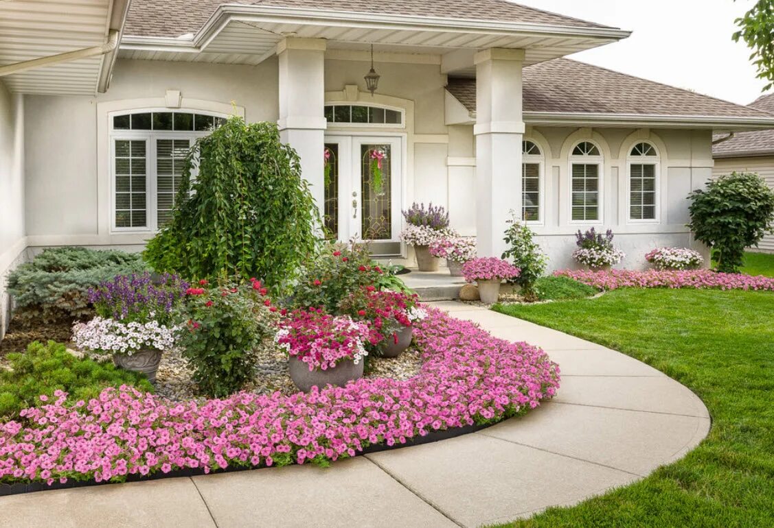 ландшафтные петунии. петуния королевская клумба. петуния звездопад. сурфиния. петуния ампельная на террасе.