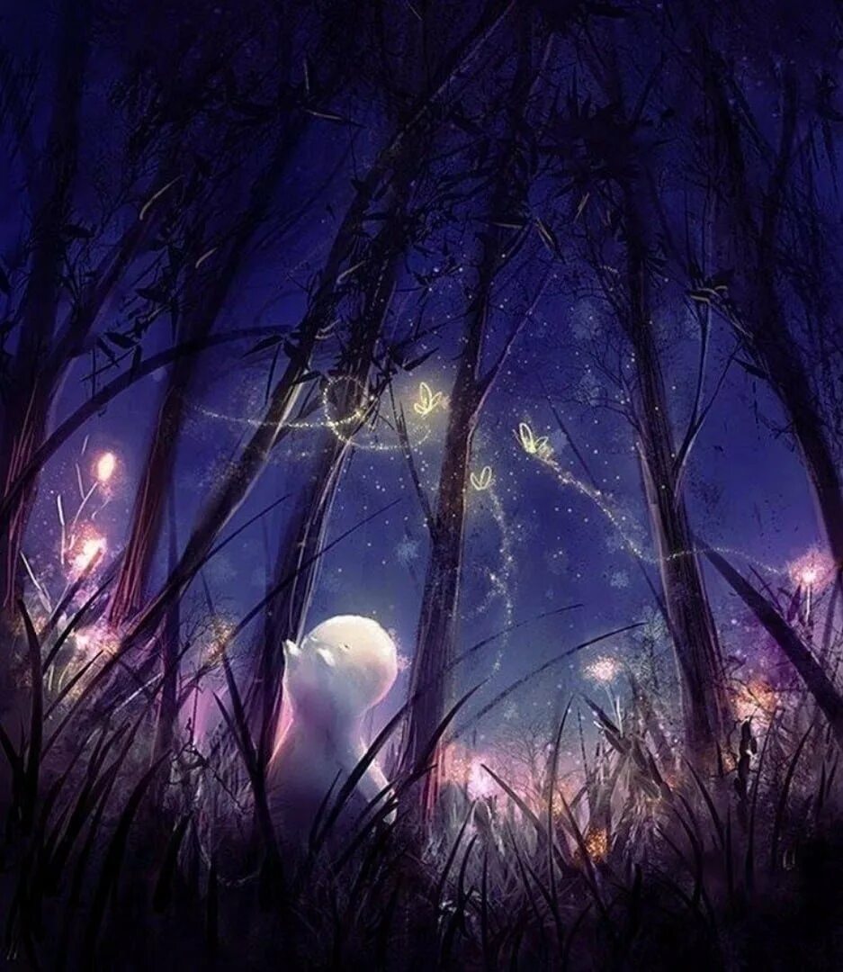Магическая ночь. Волшебный лес ночью. Ночное волшебство. Ночной сказочный лес. Волшебной сказочной ночи