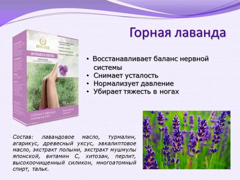 Лаванда для здоровья человека польза. Лаванда лечебная. Лаванда колосовидная. Чем полезна лаванда. Чем полезна лаванда.