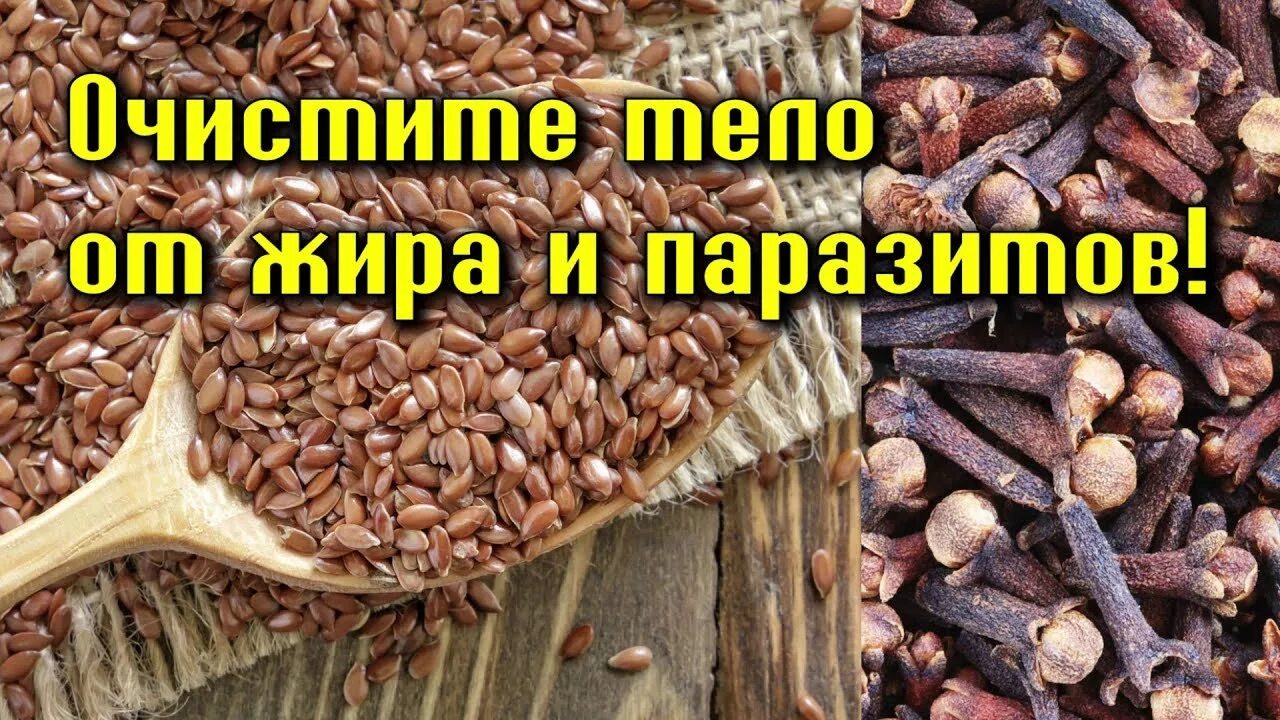 Гвоздика от паразитов отзывы. Гвоздика от глистов. специя гвоздика.. от паразитов. семена льна и гвоздика от паразитов. семена льна и гвоздики от паразитов.