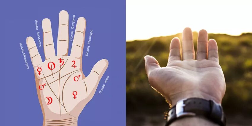 бугры на ладони хиромантия. холмы на ладони хиромантия. хиромантия. название холмов на руке хиромантия. хиромантия значение холмов.