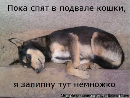 Ладно пока я хочу