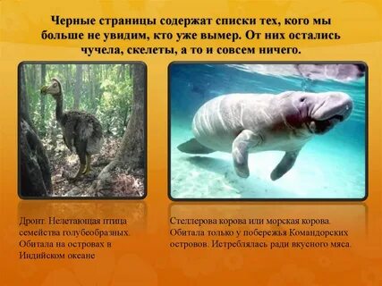 Страница красной книги 4 класс окружающий мир