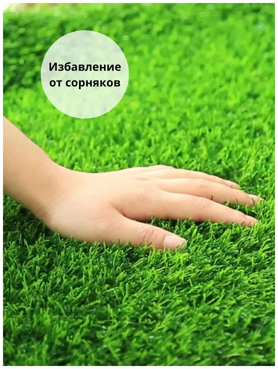 Газон в339те750. Зеленый метр газон. Искусственная трава grass komfort. Высокий газон. Зеленый метр газон.