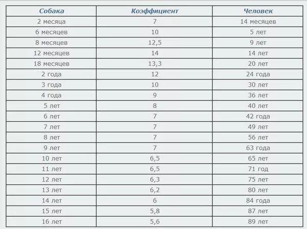 Собака по человеческому возрасту. Возраст собаки по человеческим меркам таблица до года. Соотношение возраста собаки и человека по годам. Собачьи года на человеческие. Возраст человека по собачьим меркам.