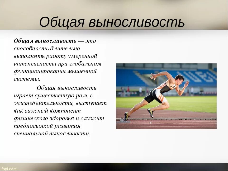 Общая выносливость. Доклад выносливость. Выносливость это в физкультуре. Выносливость сообщение по физкультуре. Сведения о ловкости спортсменов