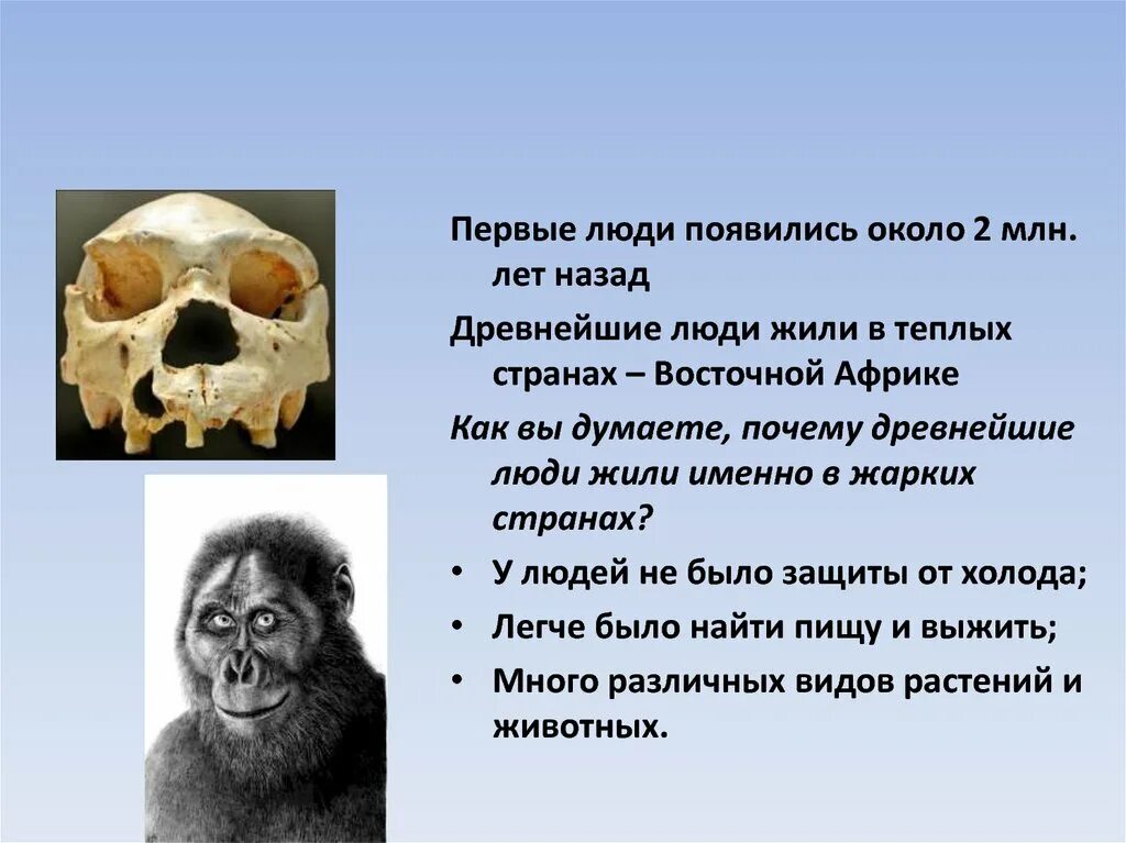 Как появился первый человек. Первые люди появились. Откуда появился человек и когда. Первый человек на земле.