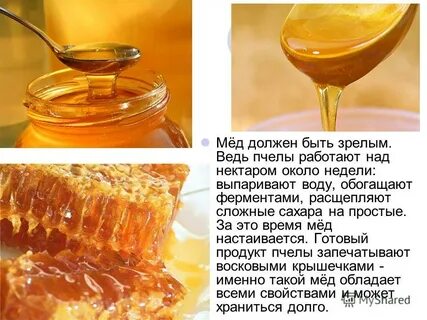 Сколько меда за жизнь