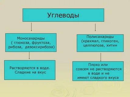 К моносахаридам относятся крахмал глюкоза целлюлоза
